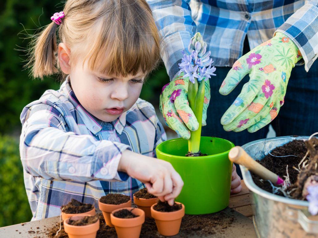 Дети сажают растения