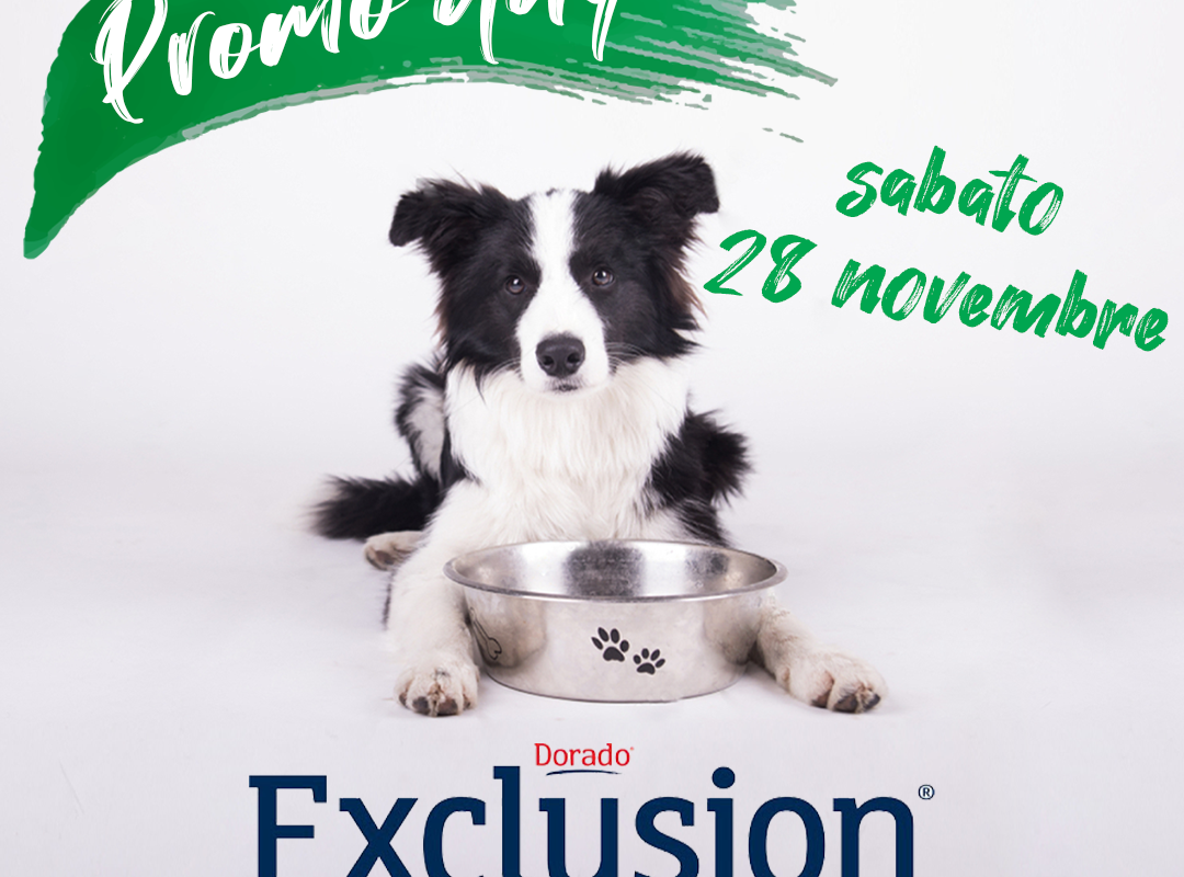 Exclusion Day – 28/11/20